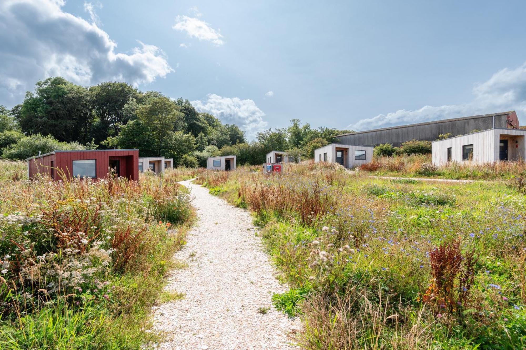 Rustic Cabins, Sea Views From Rewilded Farm With Highland Cows St Andrews Bagian luar foto