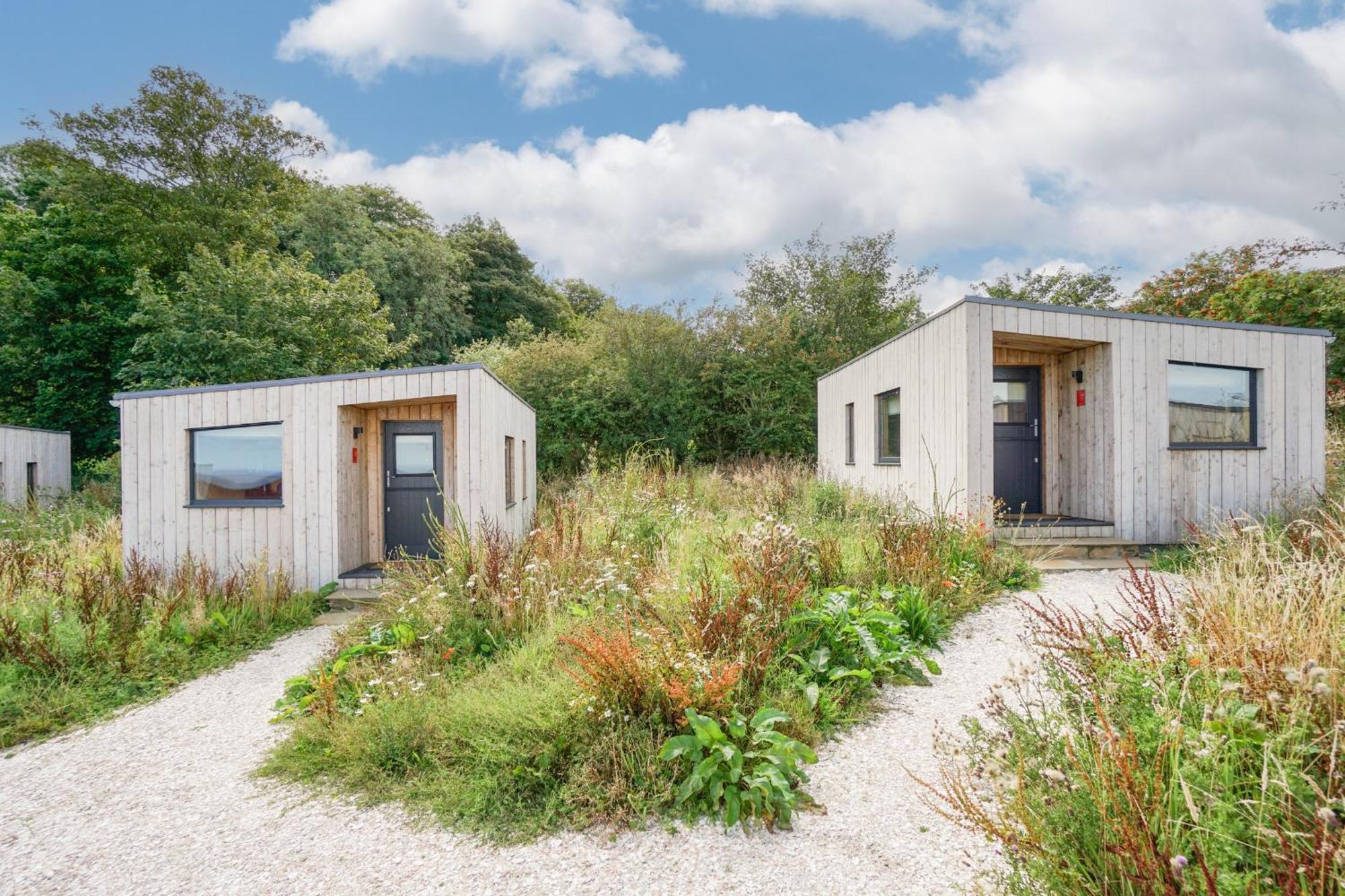 Rustic Cabins, Sea Views From Rewilded Farm With Highland Cows St Andrews Bagian luar foto